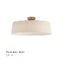 21.webp